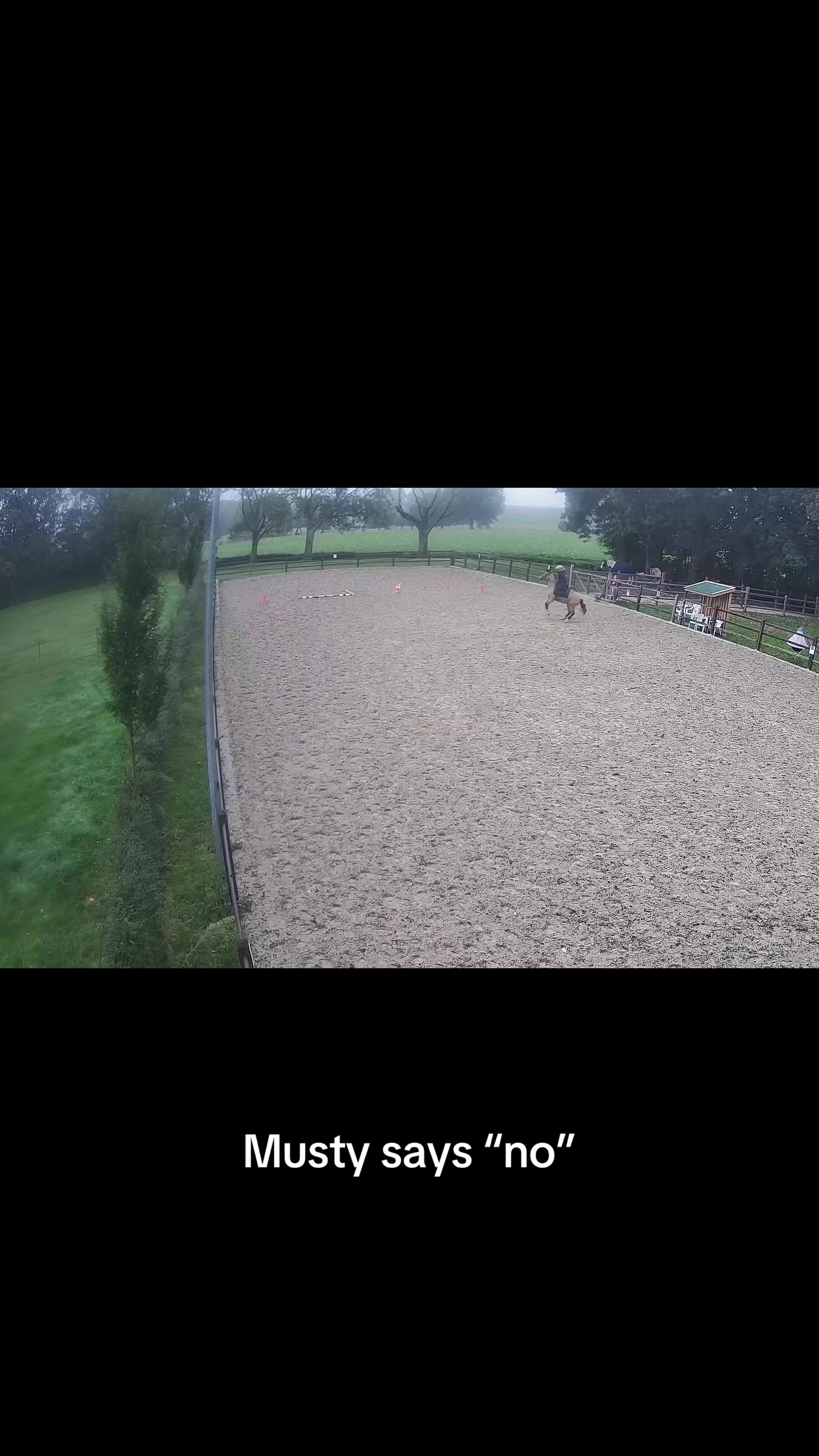 @Syrche Cordewener