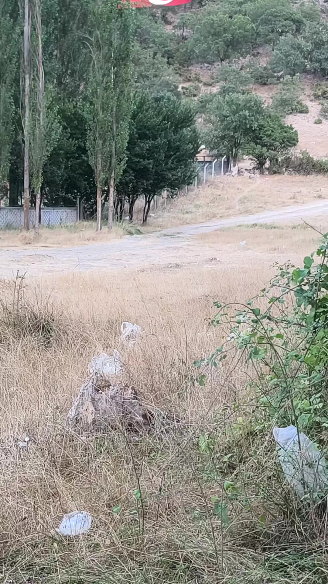 @H&uuml;seyin &Ouml;zaslan