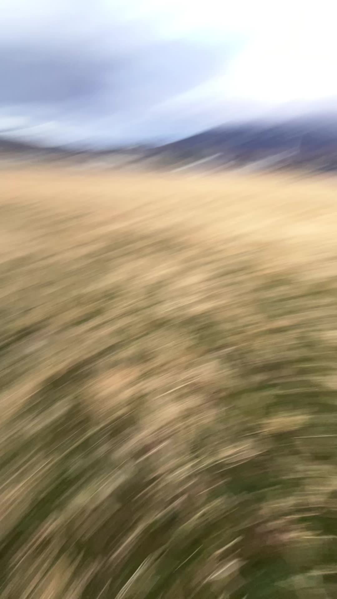 @heyitskate