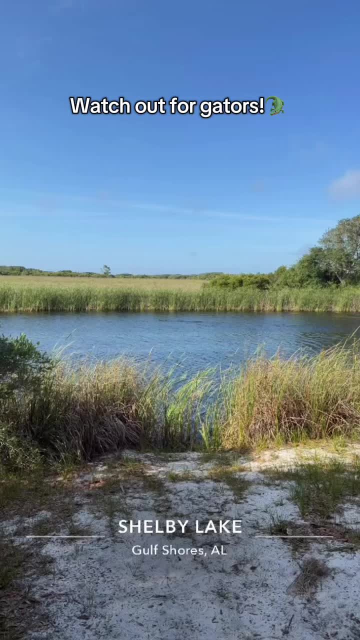 @explore.the.shore