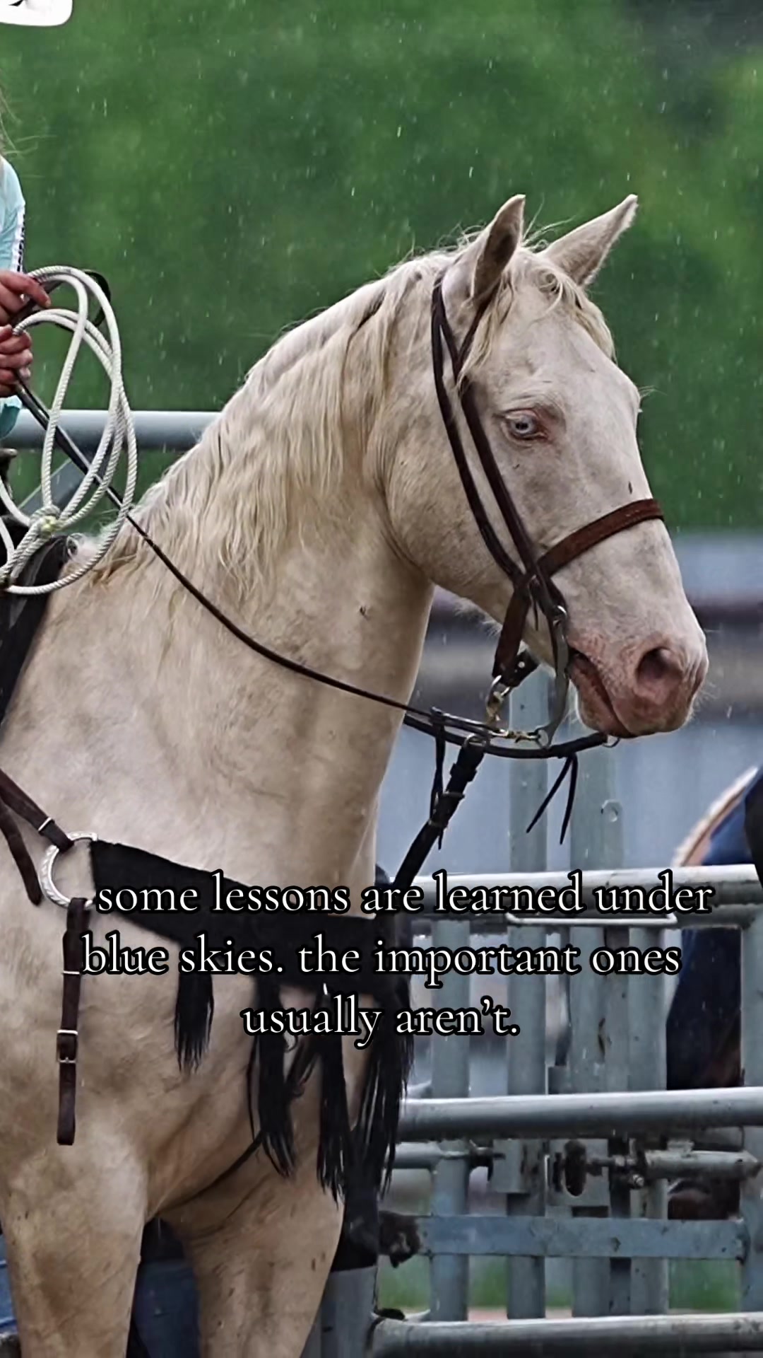 @Hanginghorses