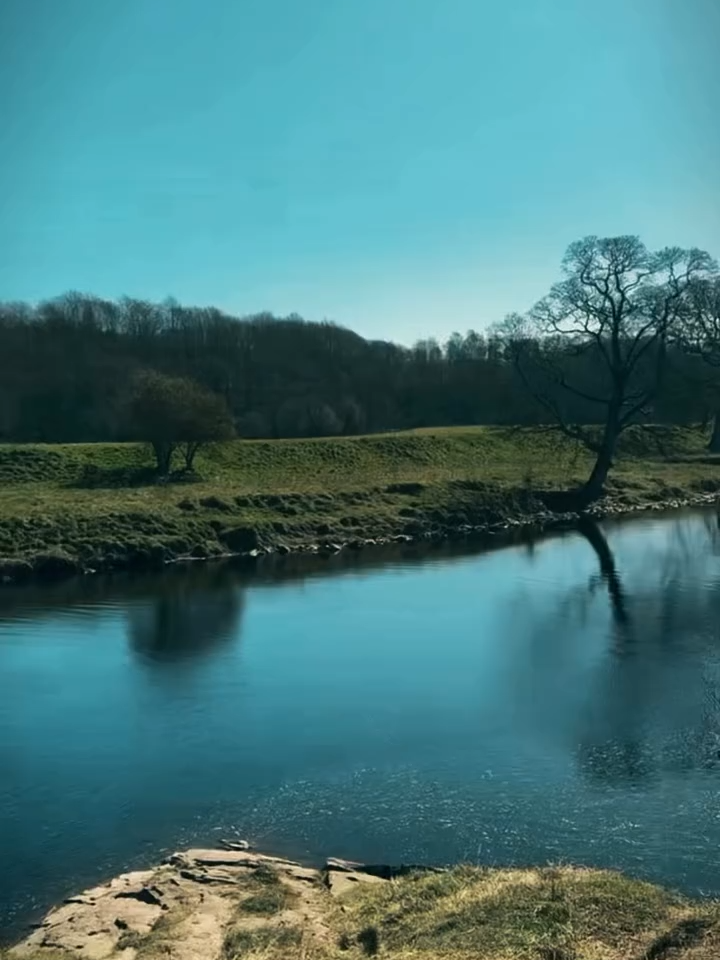 @user77163737200