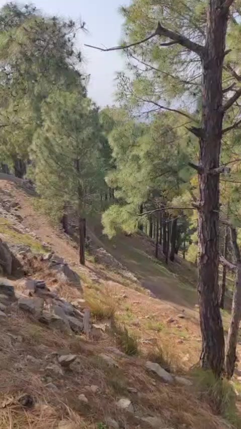 @🇲  🇦  🇷  🔥