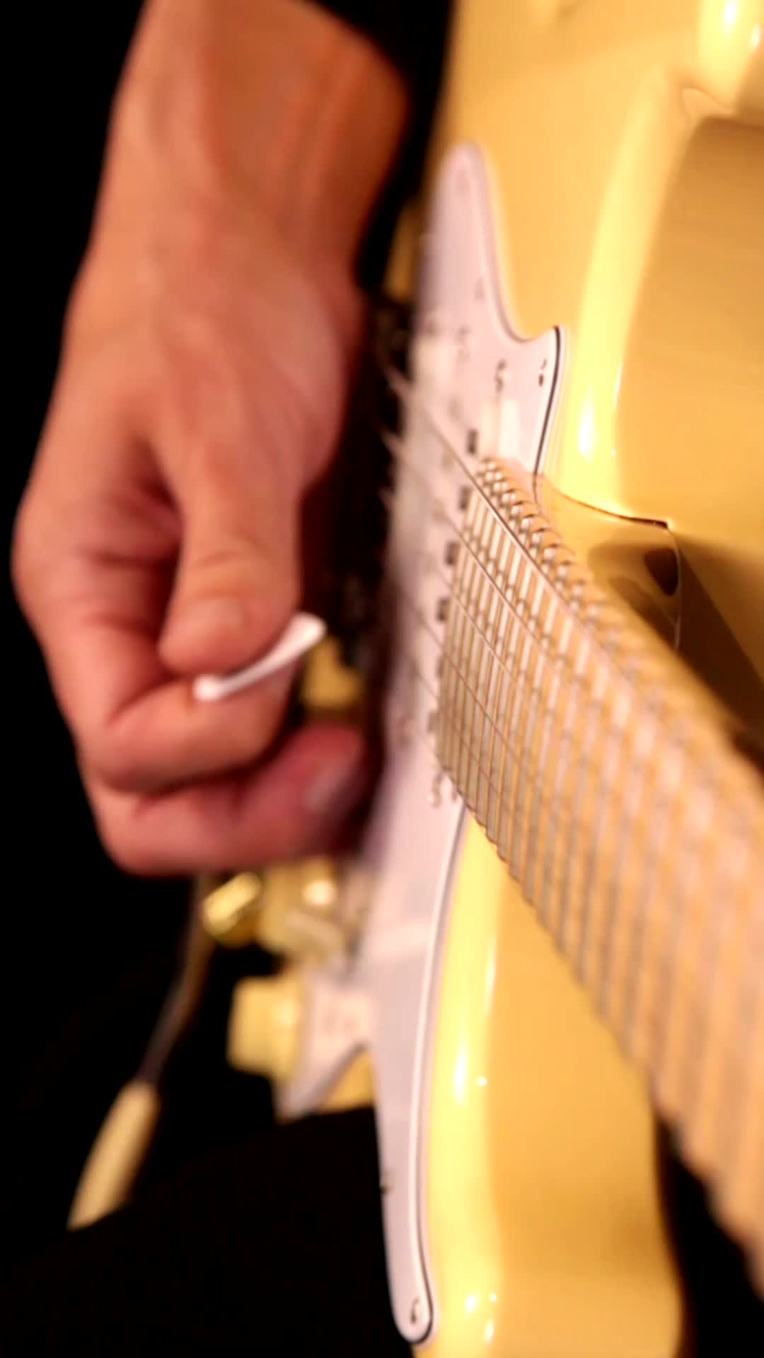 @TomShreds