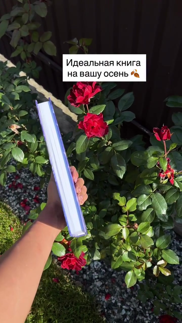 @Книги