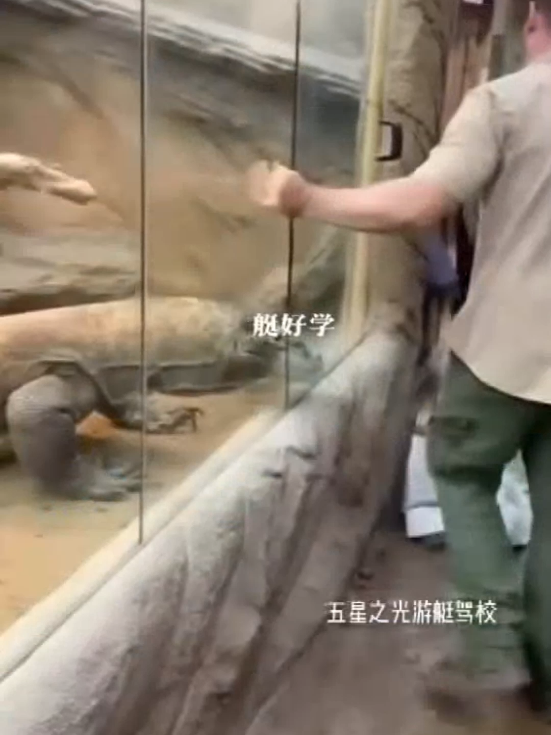 @Meanwhile in China