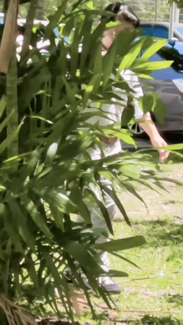 @Aisyahkakak Sado88