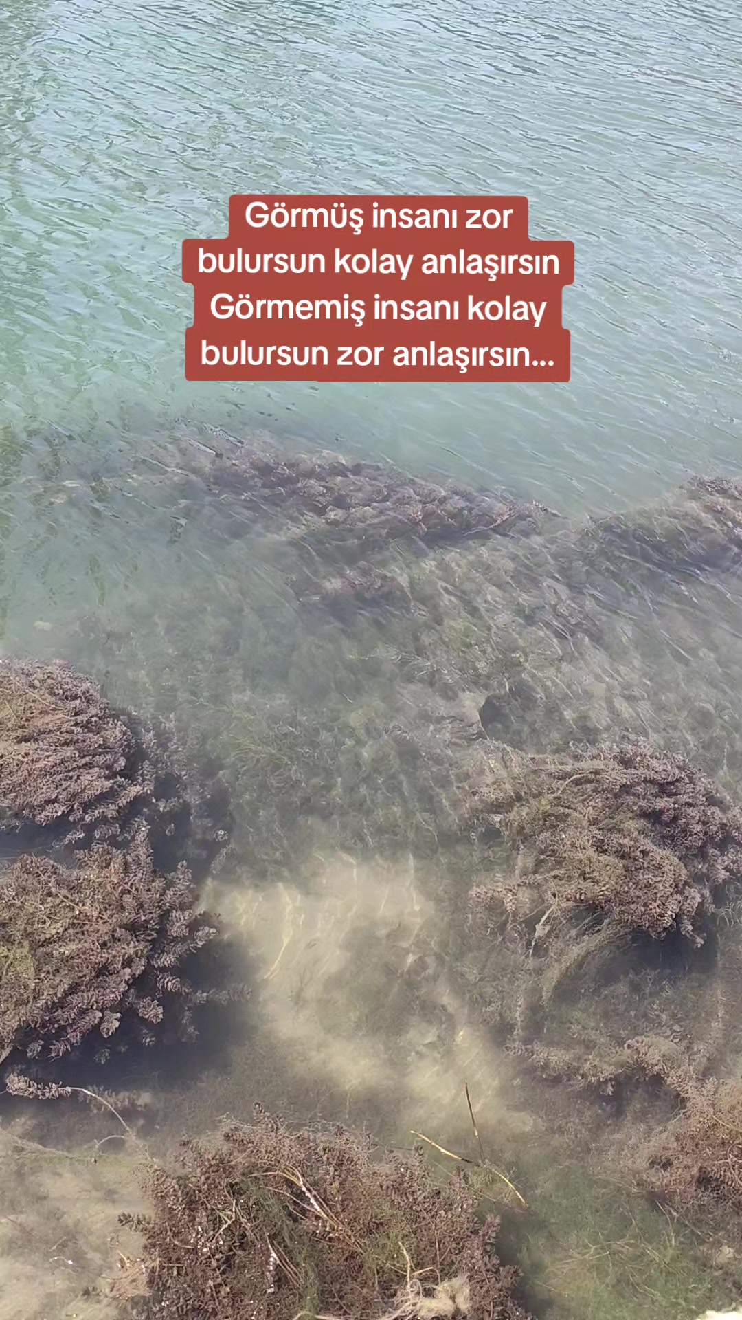 @&Uuml;mran Yurtal