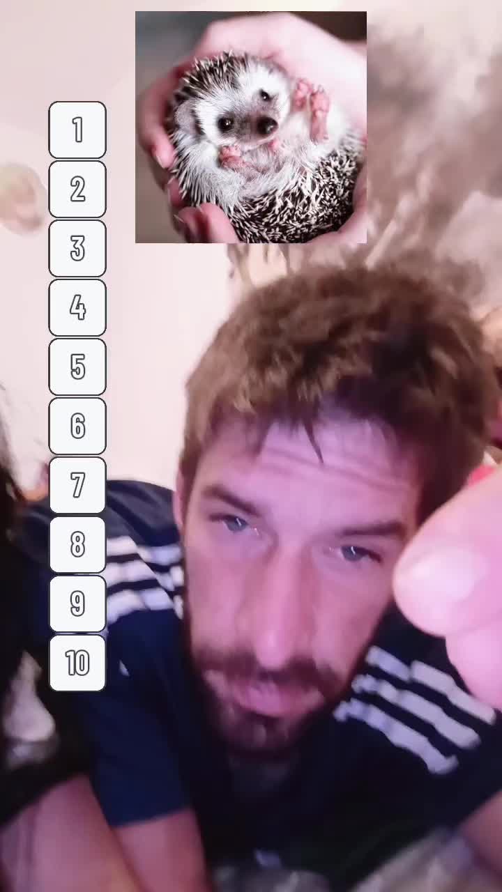 @Daniela Horta