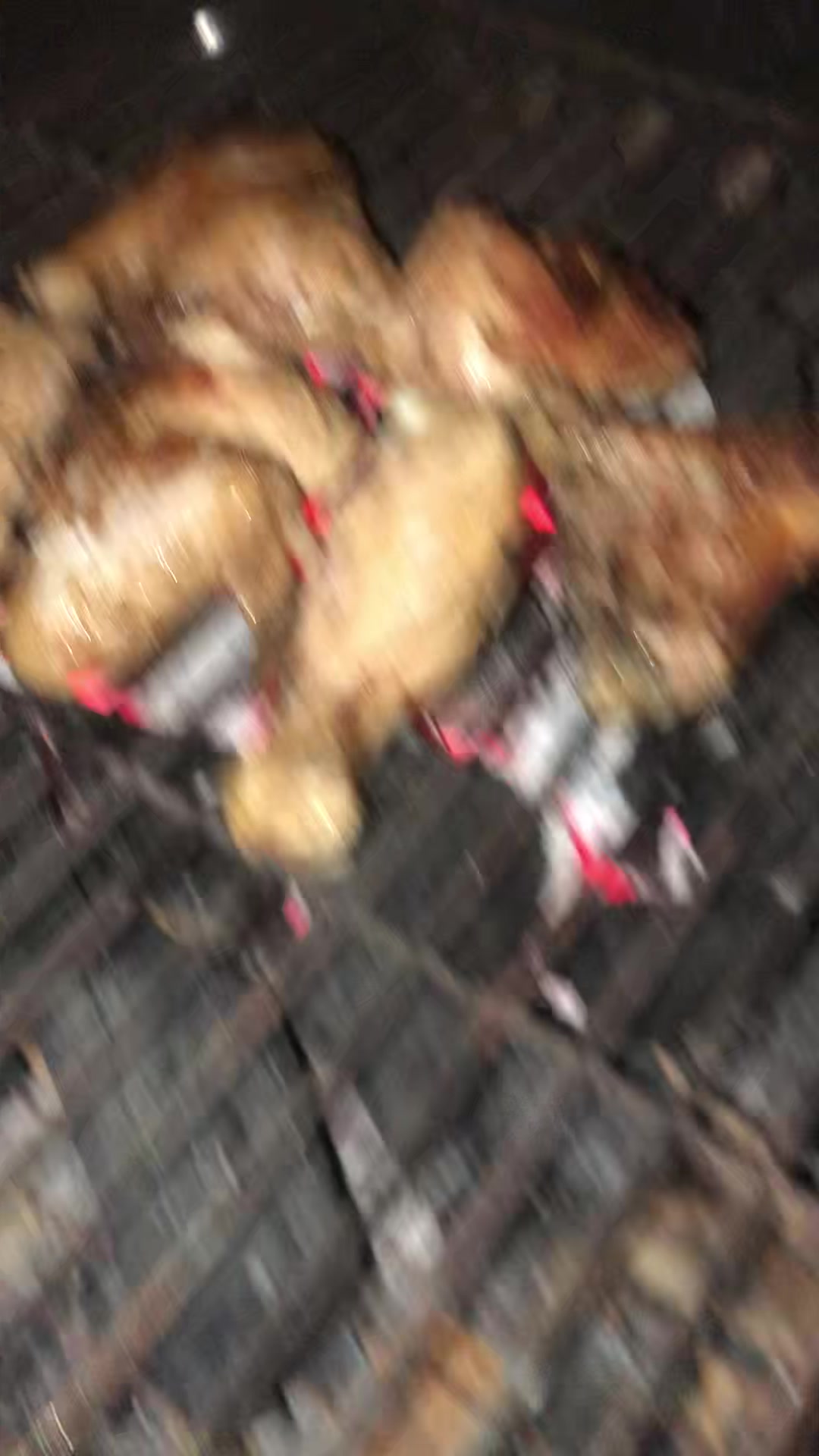 @elreypi63