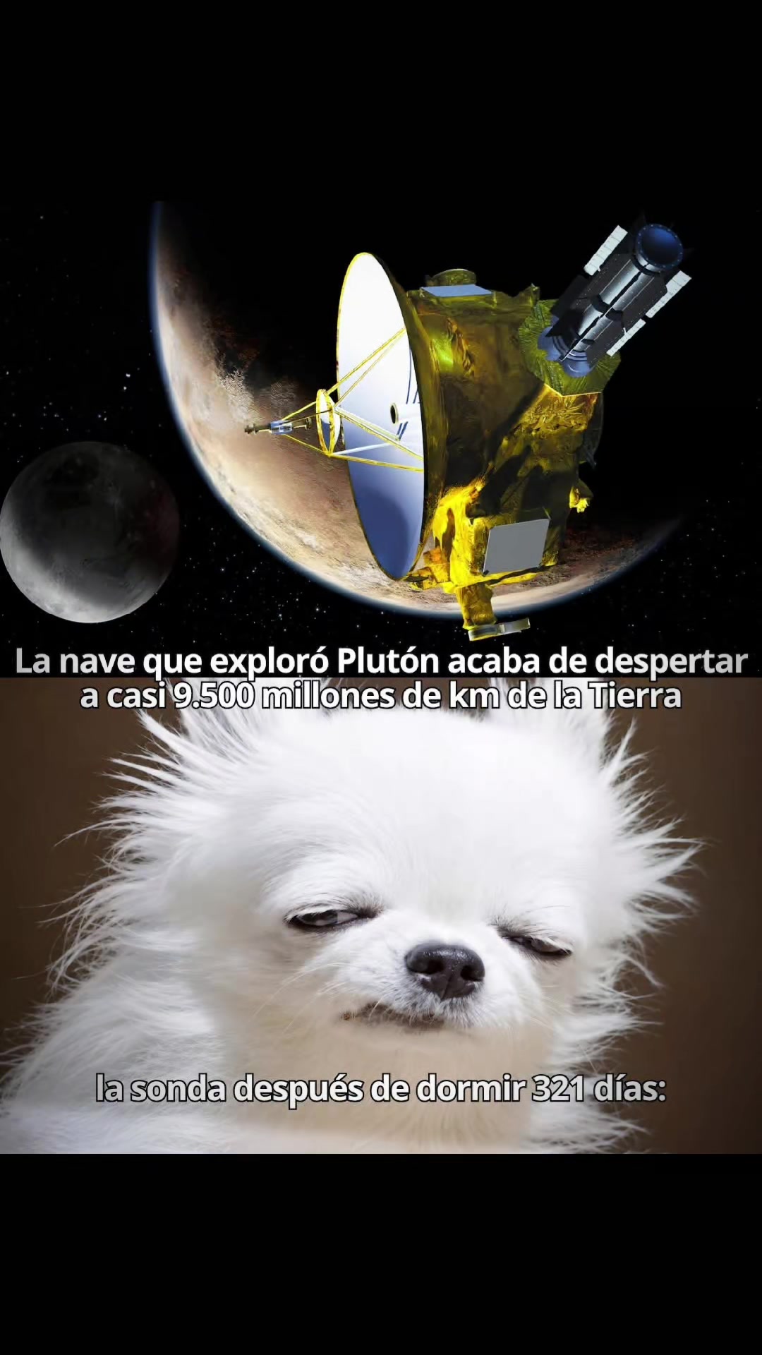 @Jcgg