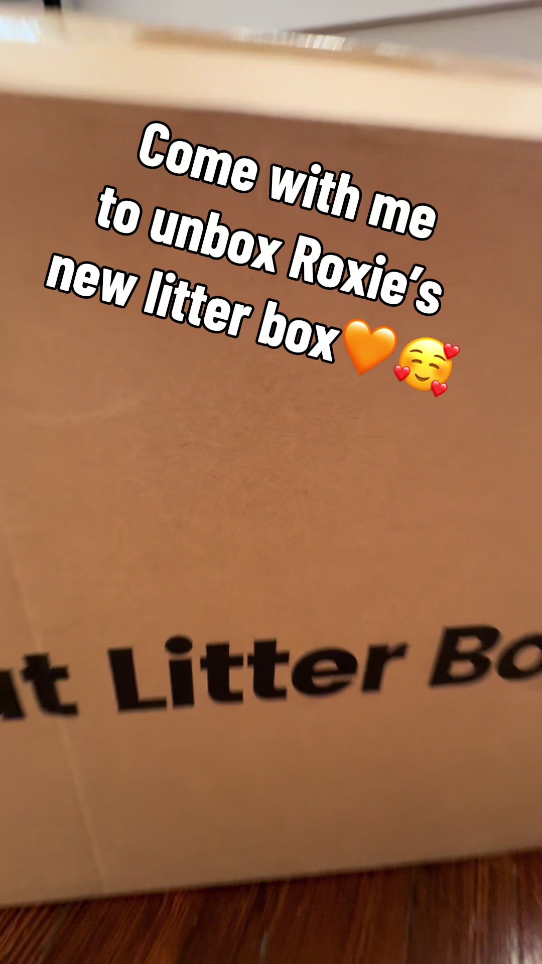 @Roxiemiauwmiauw