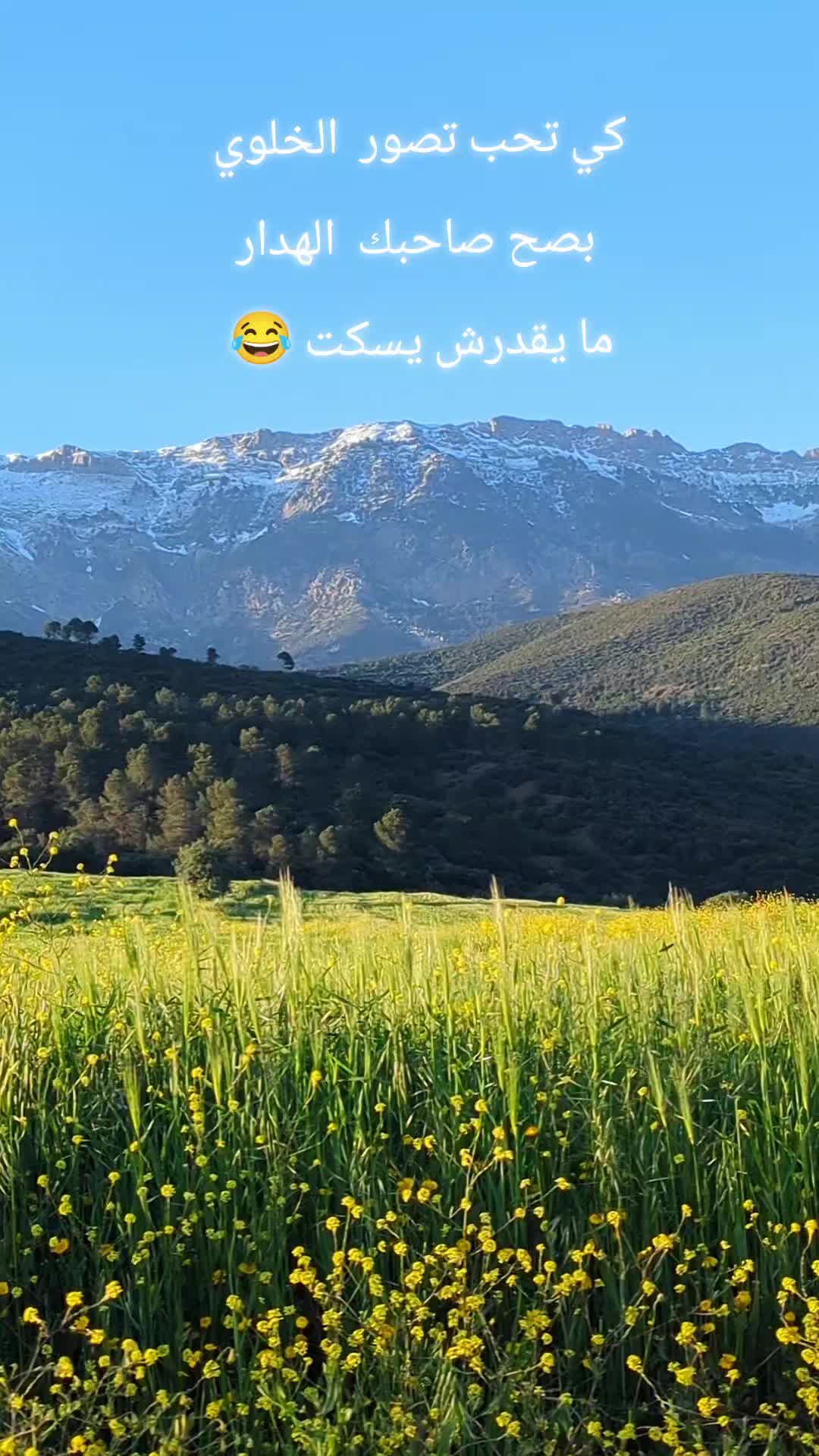 @Vadozack
