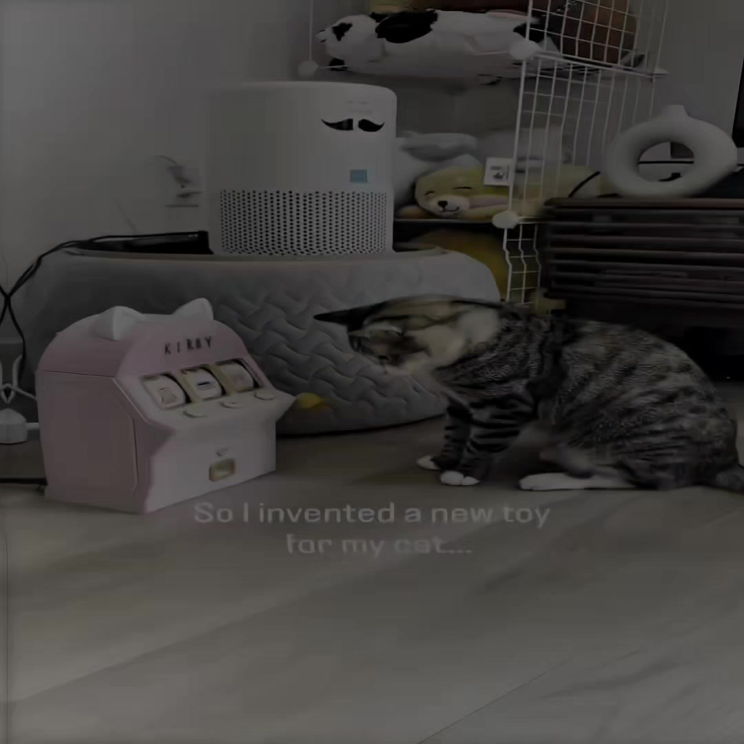 @๐๐๐
๐๐๐๐๐๐ป