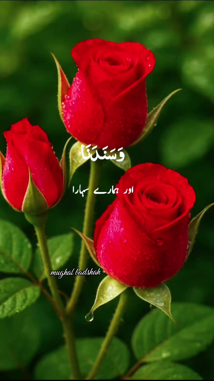 @๊ง๐๐ mughal badshah ๐๐๊ง