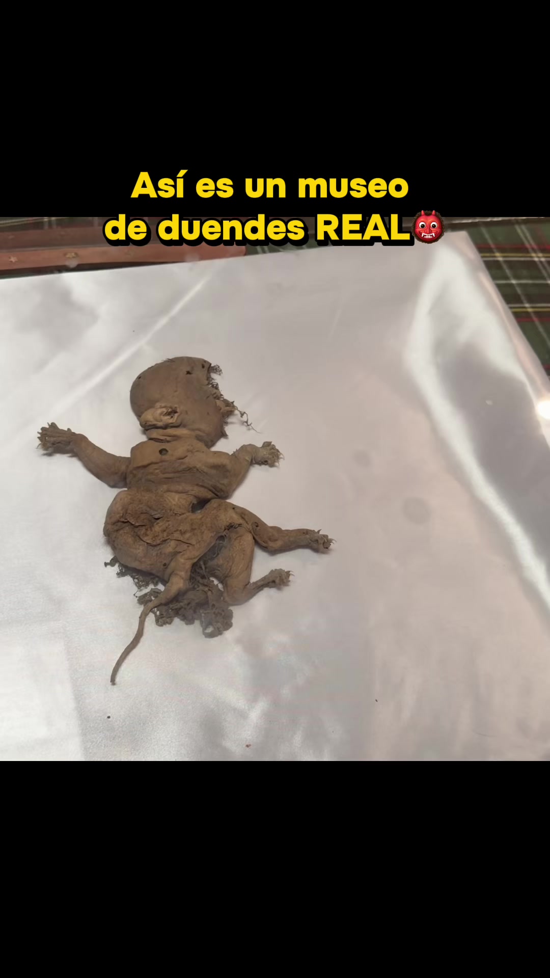 @Efren Esqueda