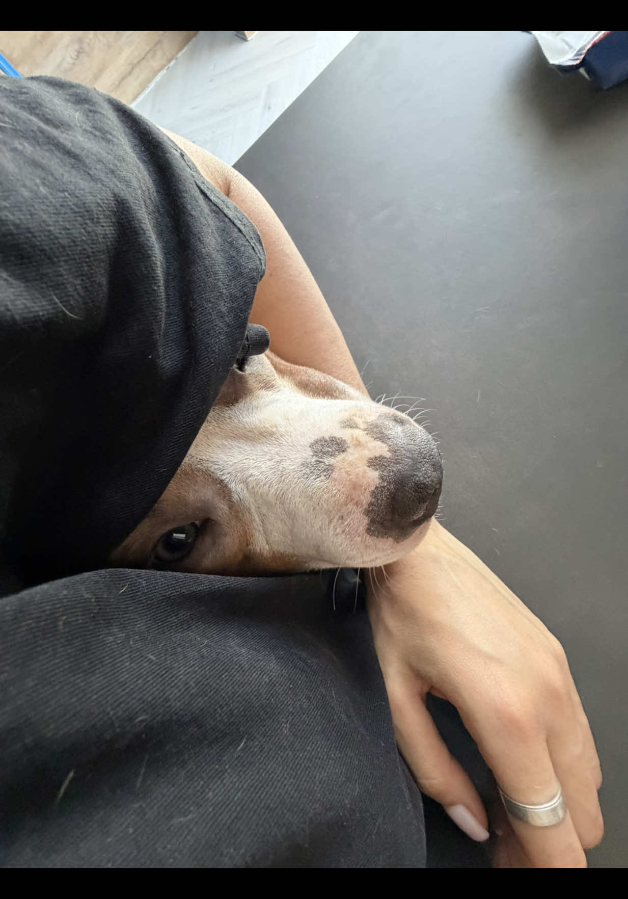 @🐾 ʀᴀɢɴᴀʀ sᴛᴀꜰꜰ 🐾