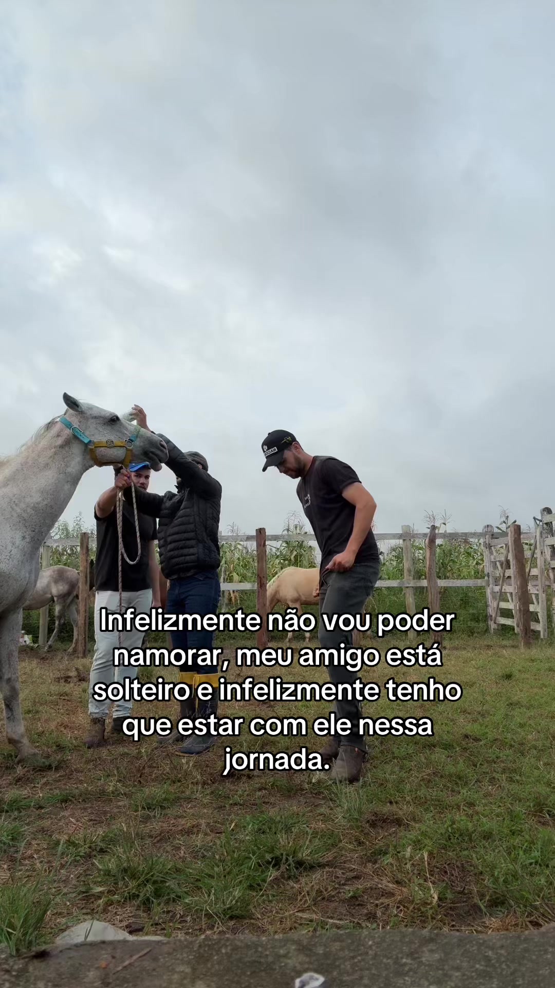 @Marcos Gomes 🇧🇷