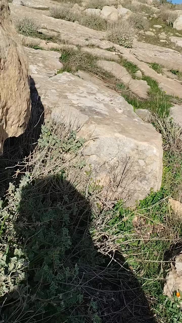 @༒ᎦᎧᎿᎰᎥᎬᏁᎬ༆