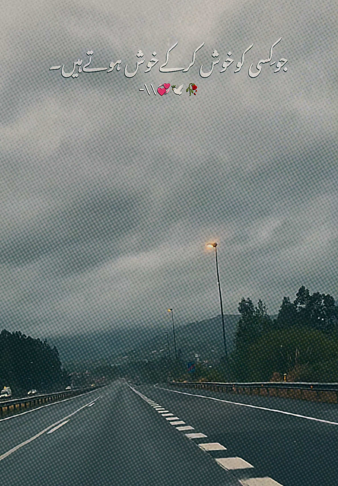 @Dr Sana 4696