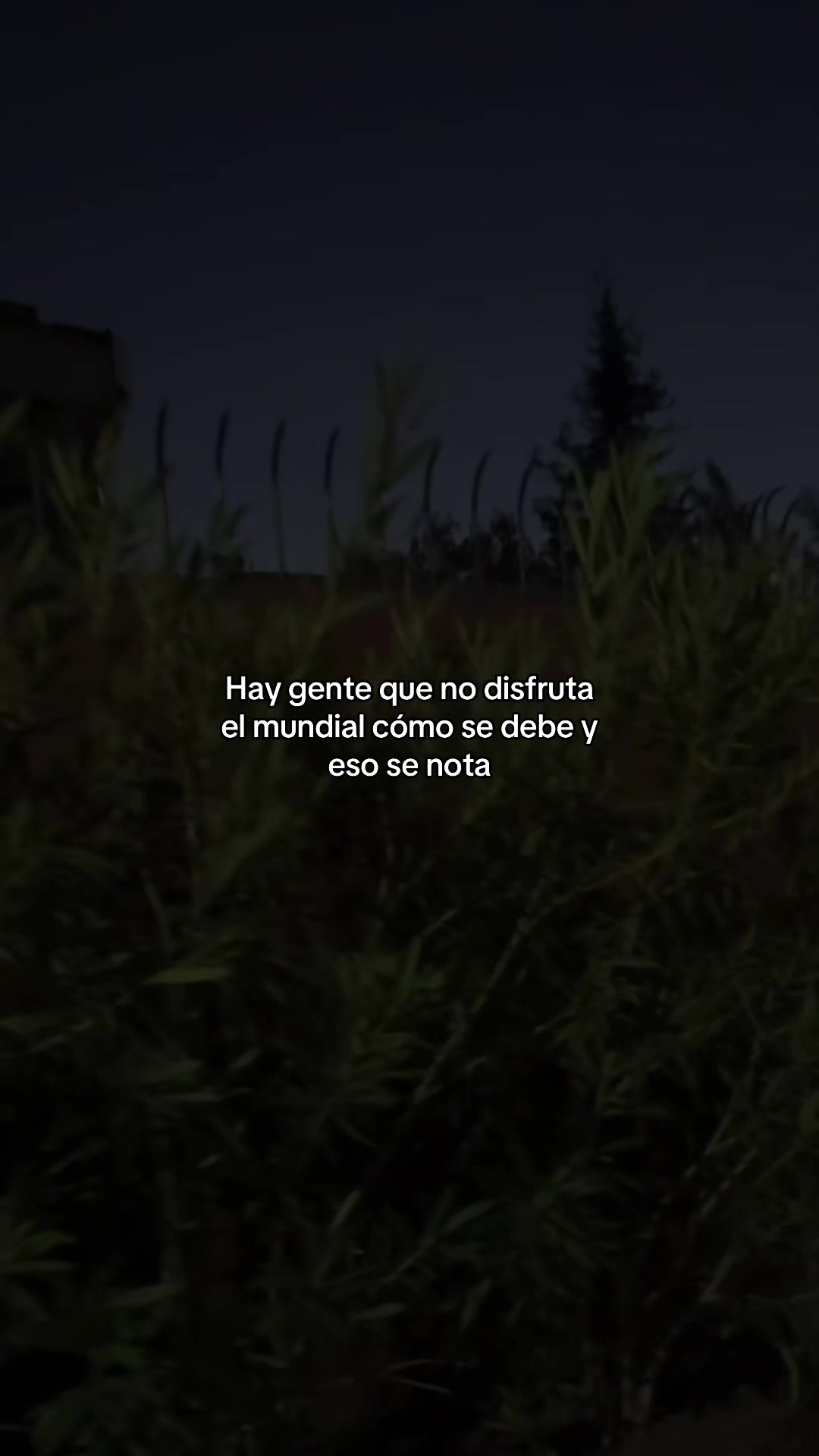 @FRASES
