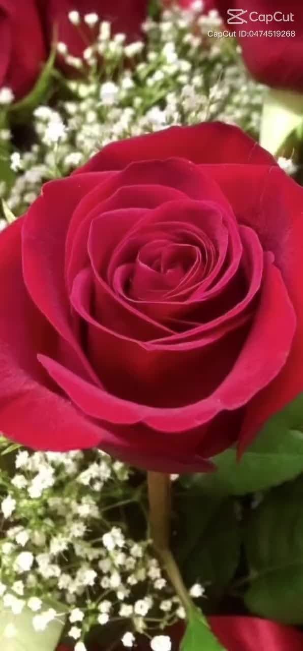 @🐐🌹🦉🤫ANGIEEE-M🌹🐐🏈TK🏈