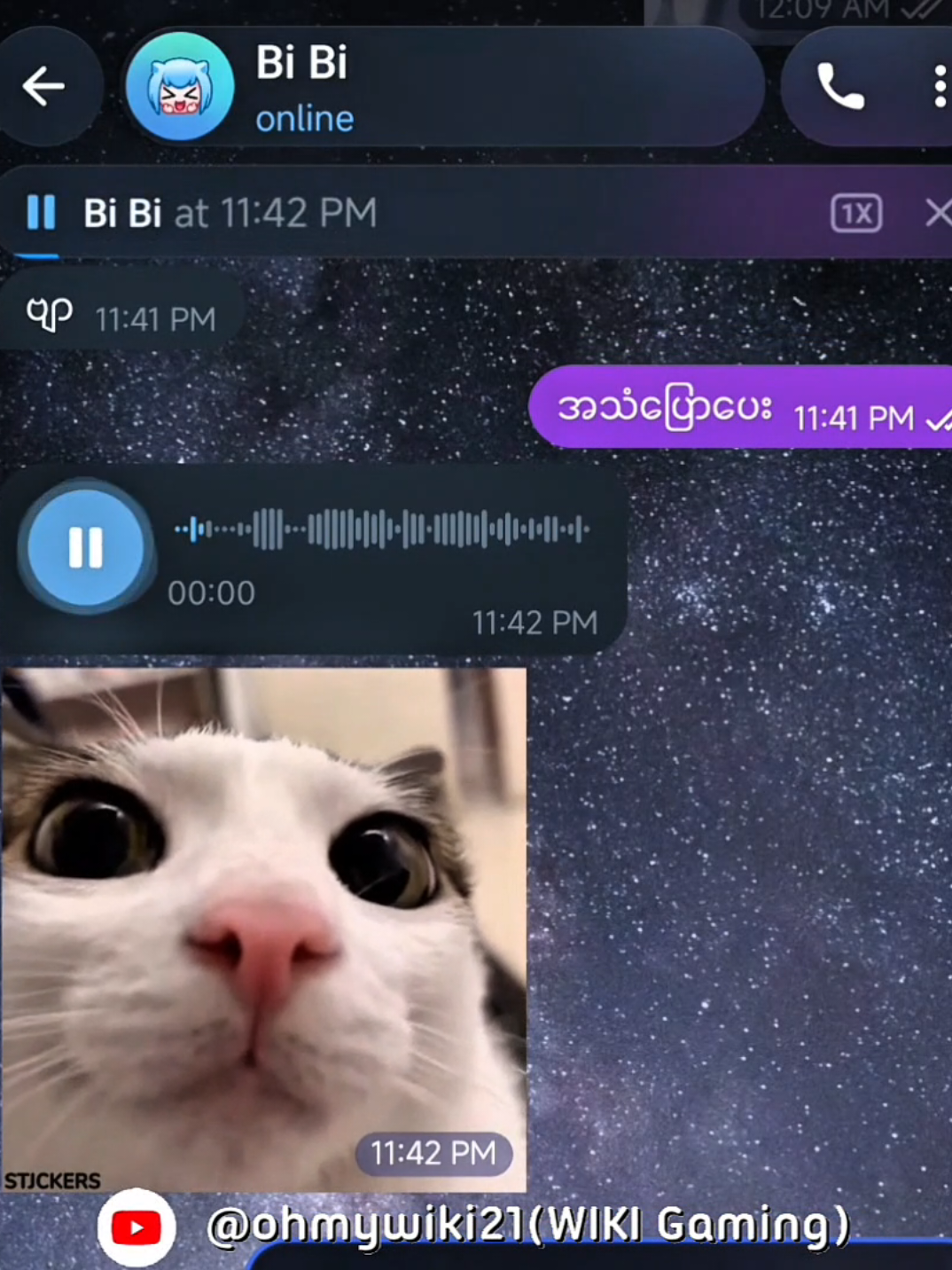@𝗪𝗶𝗸𝗶