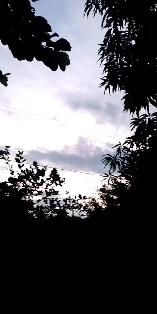 @Eliseo López