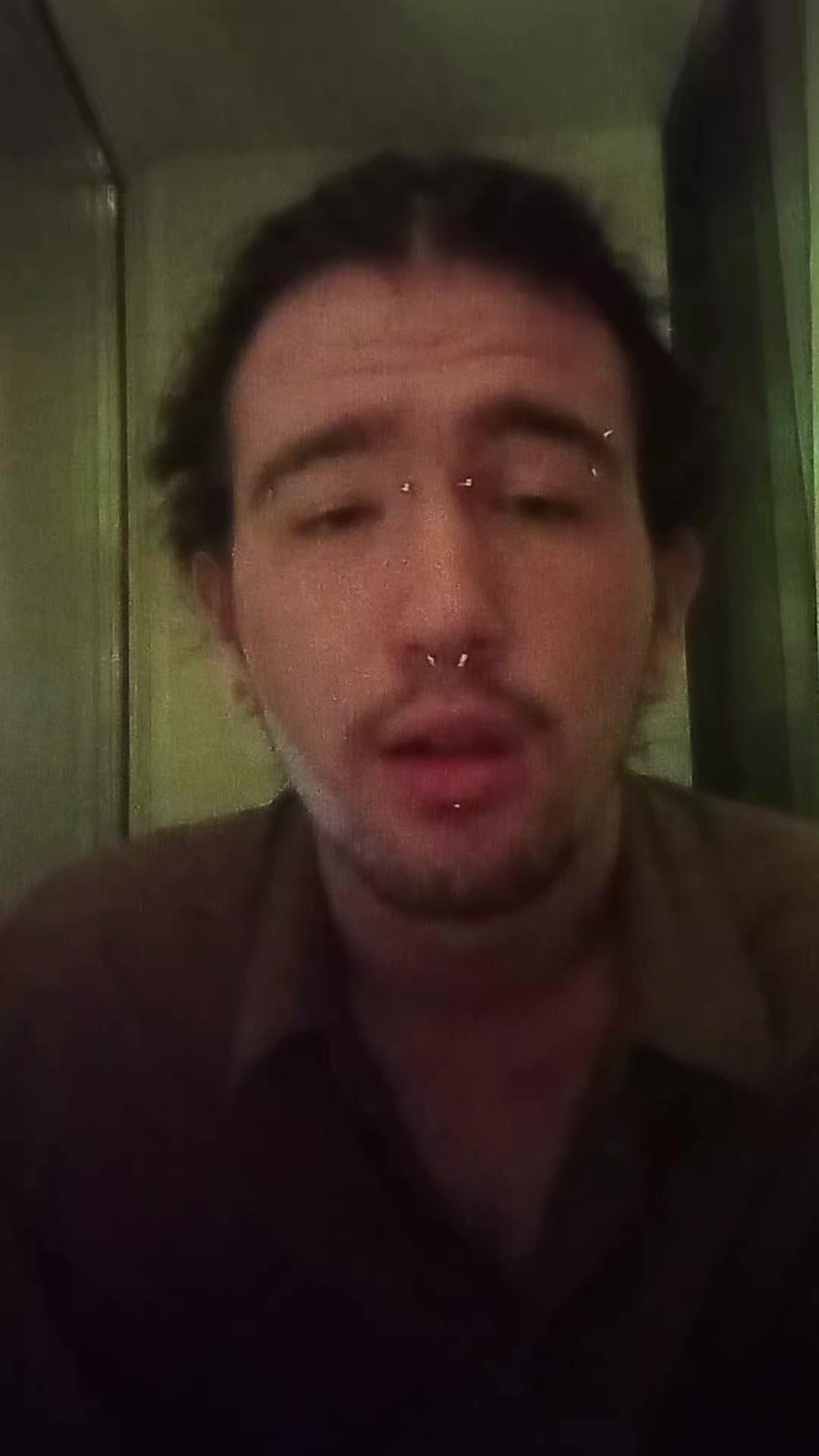 @тыща бродячих собак