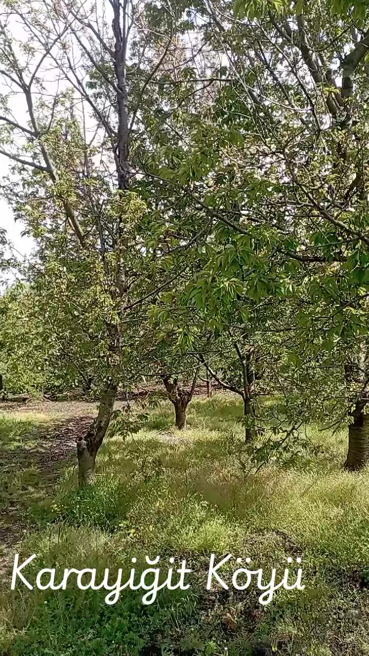 @İDRİS G&Uuml;ZEL😍💓