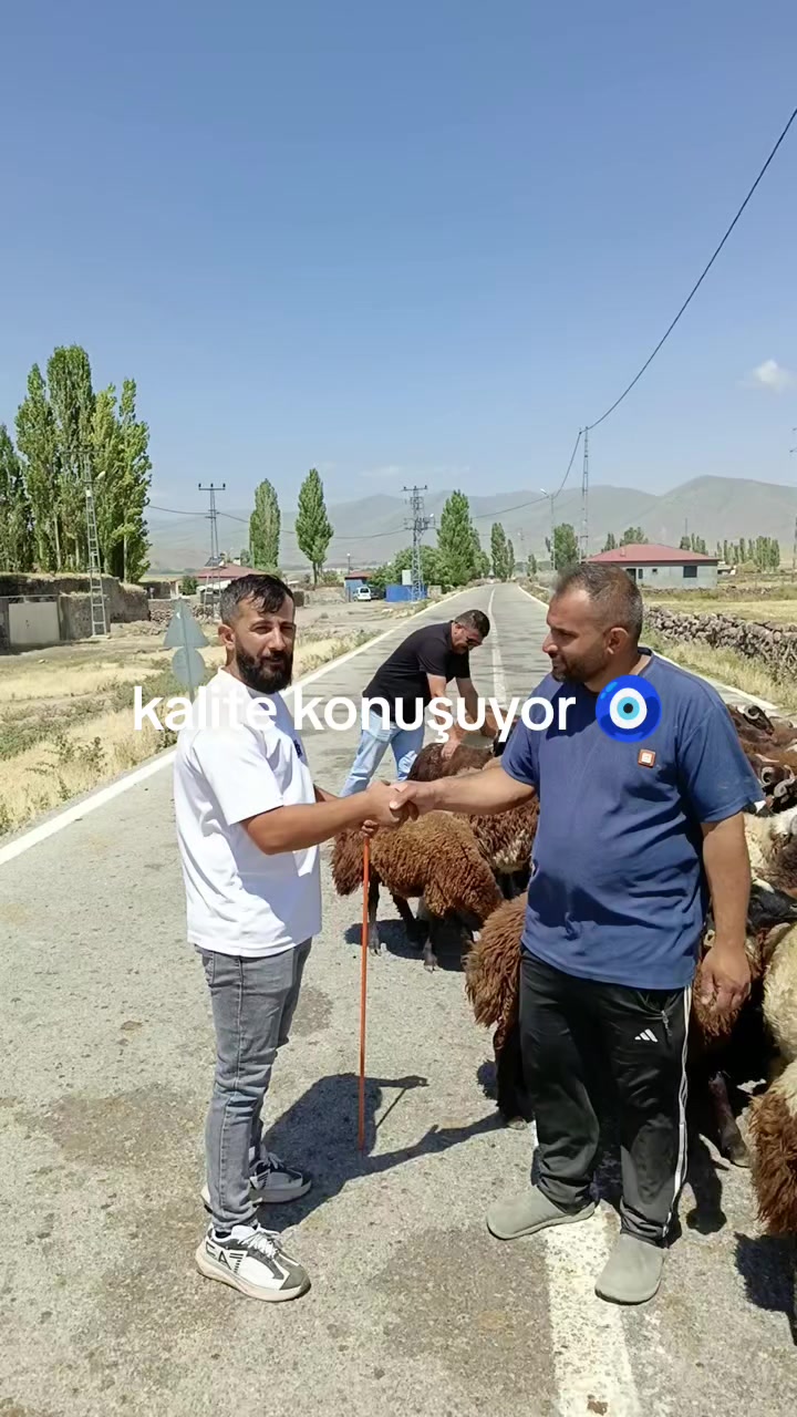 @NEVROZ KARATAY