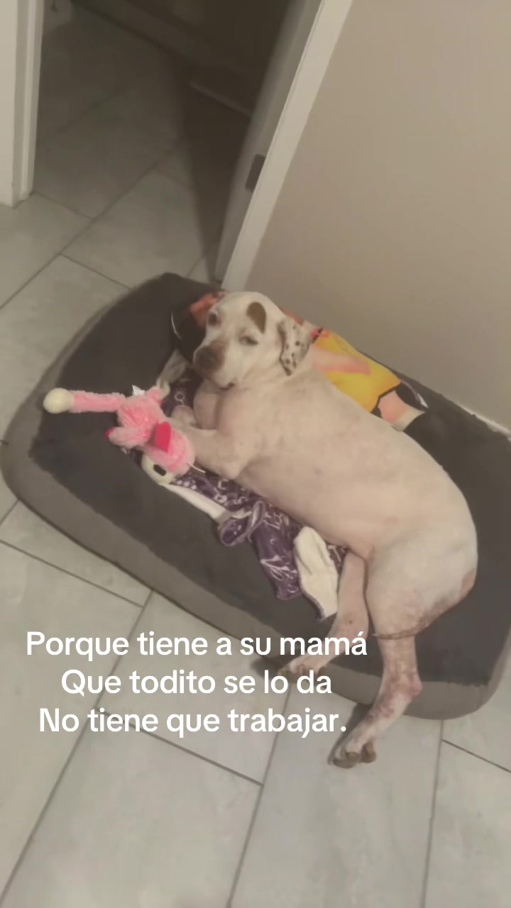 @Curvaspeligrosas33