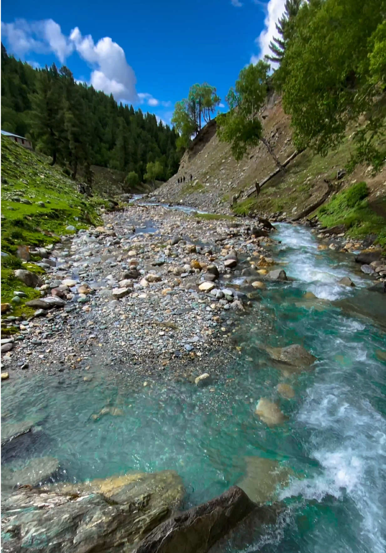 @WAQAS YASHKUN