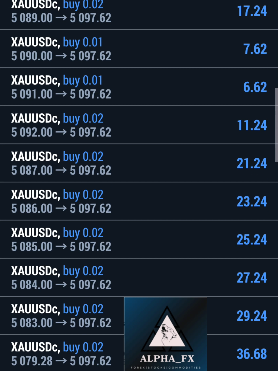 @wgzenitsu_alpha_fx