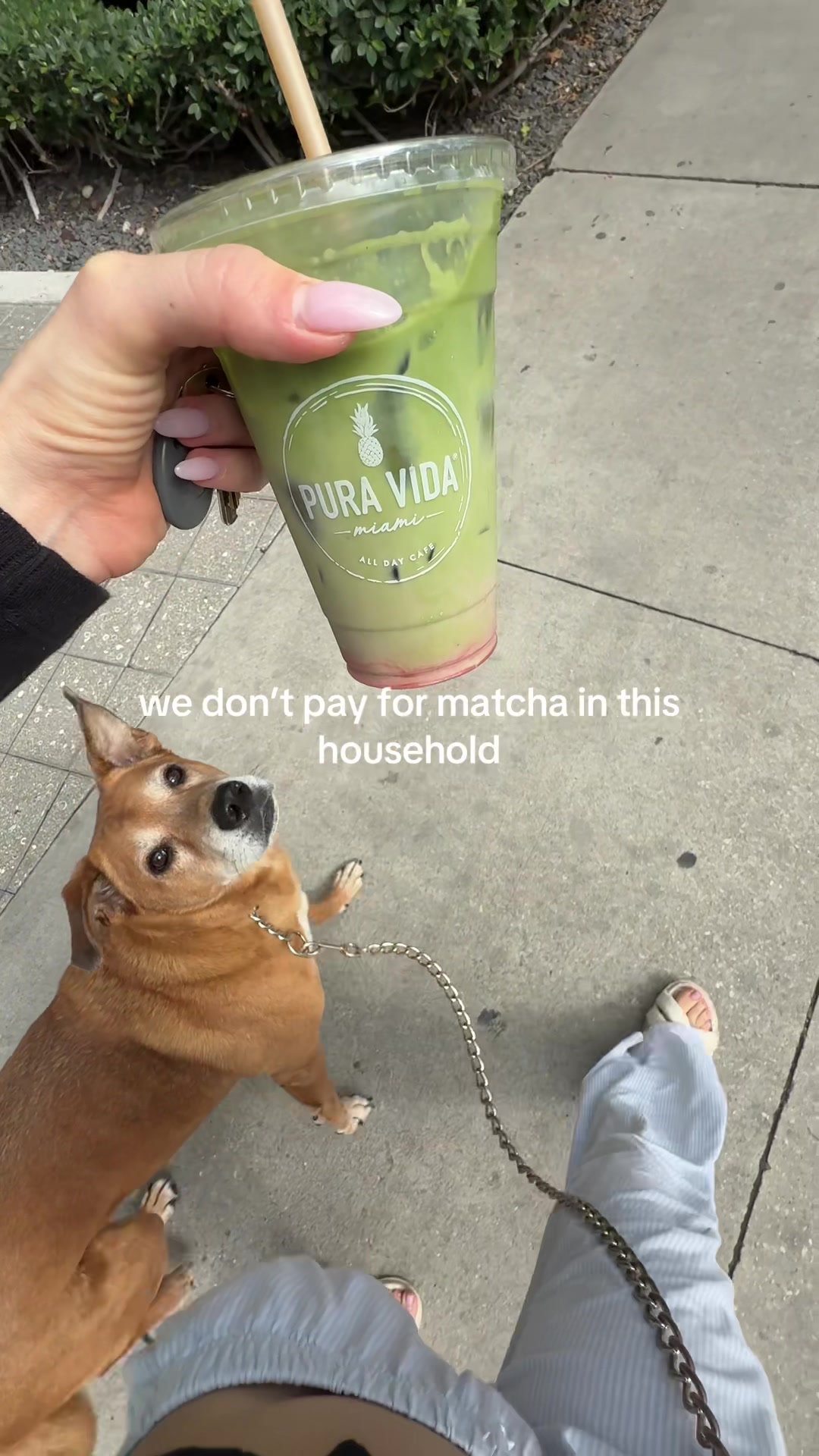 @ilymatchaaaa3