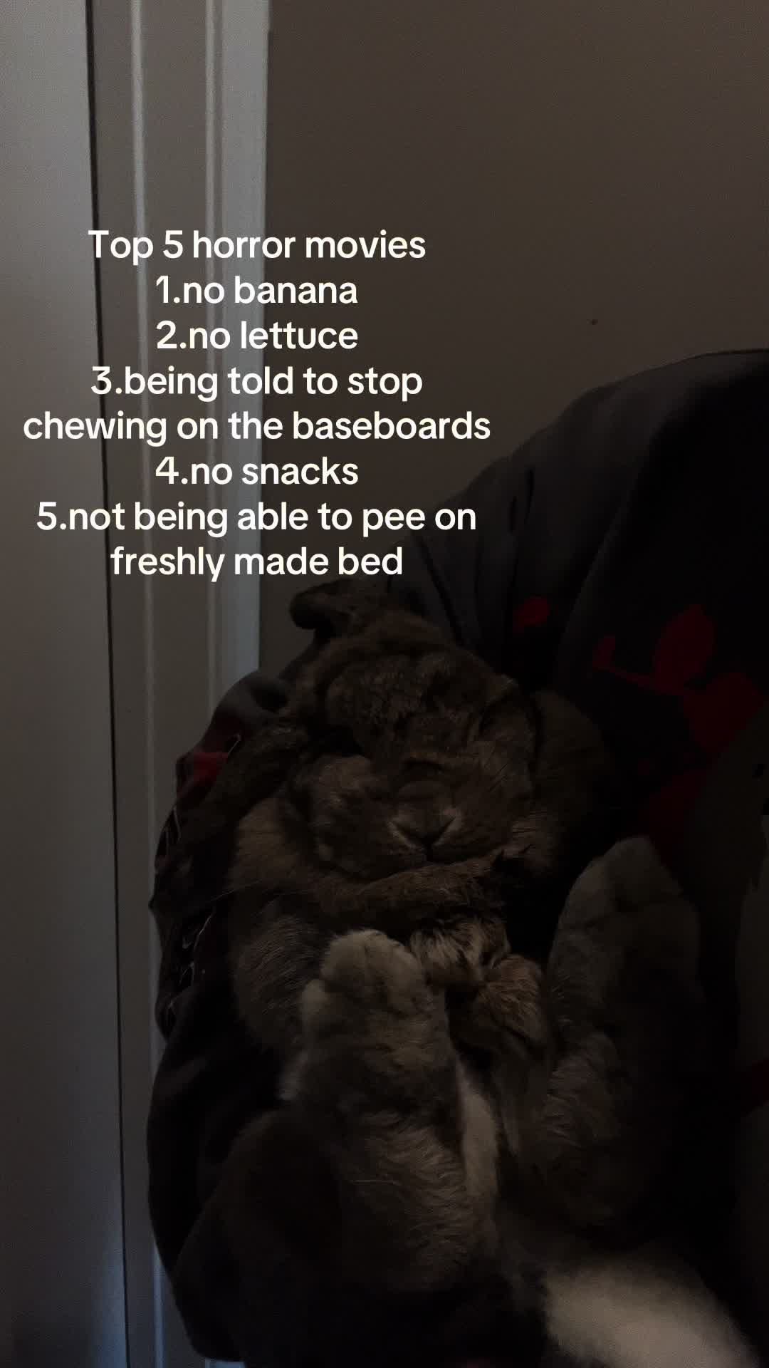 @Fadedbunny69