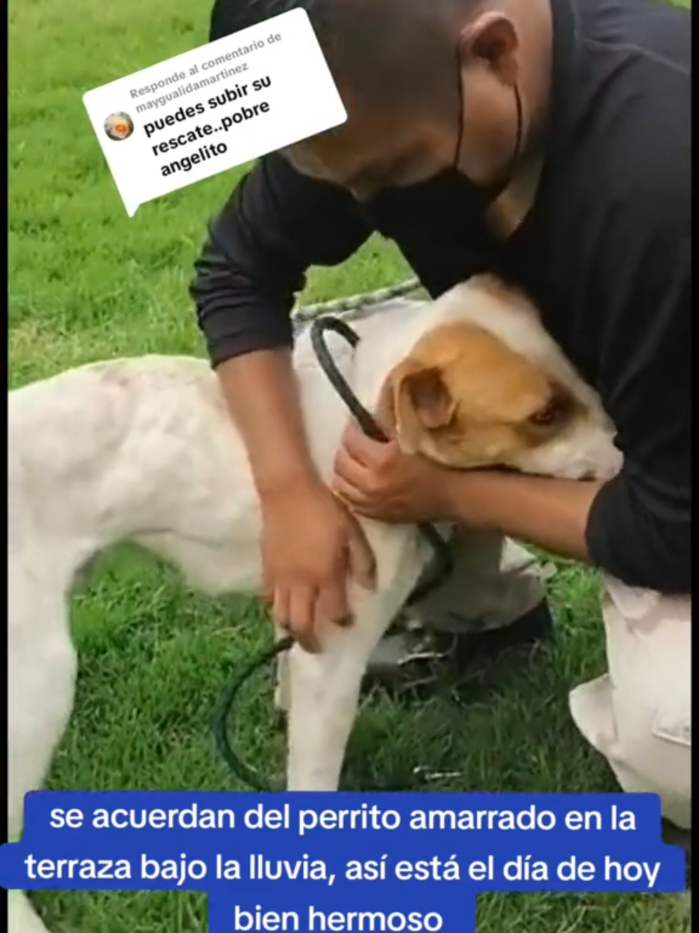 @Asoc. Peluditos