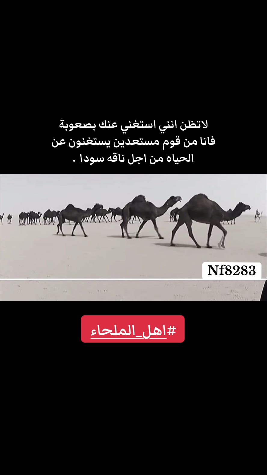 @نافع الشريهي K100