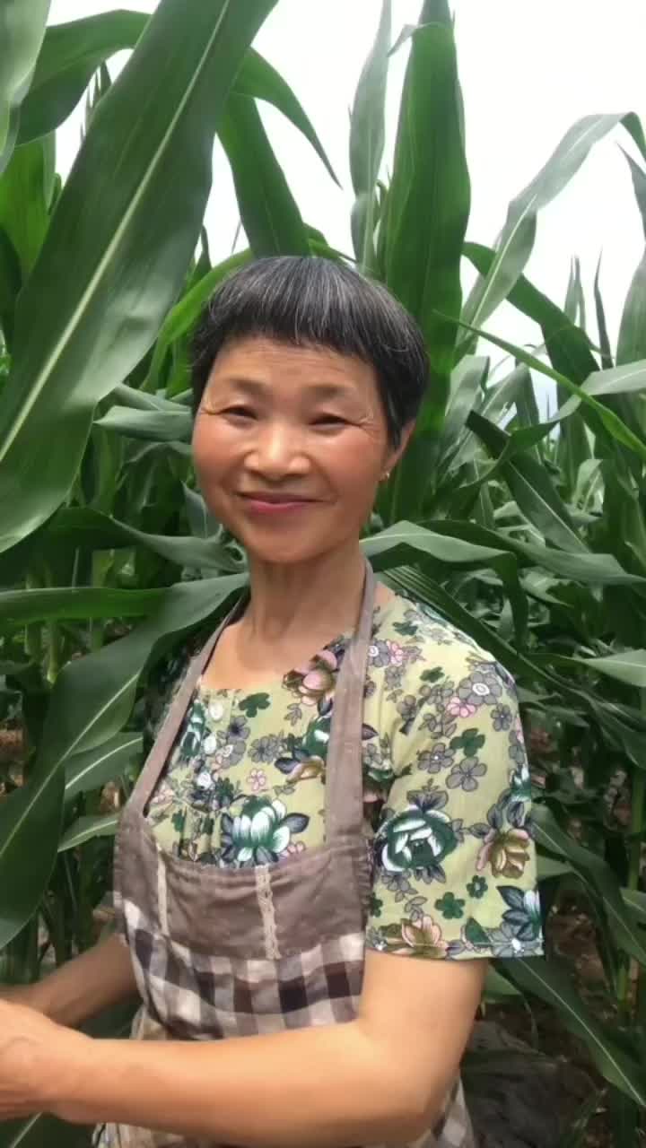 @grandma yan