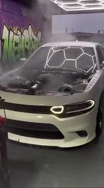 @Onefastscat