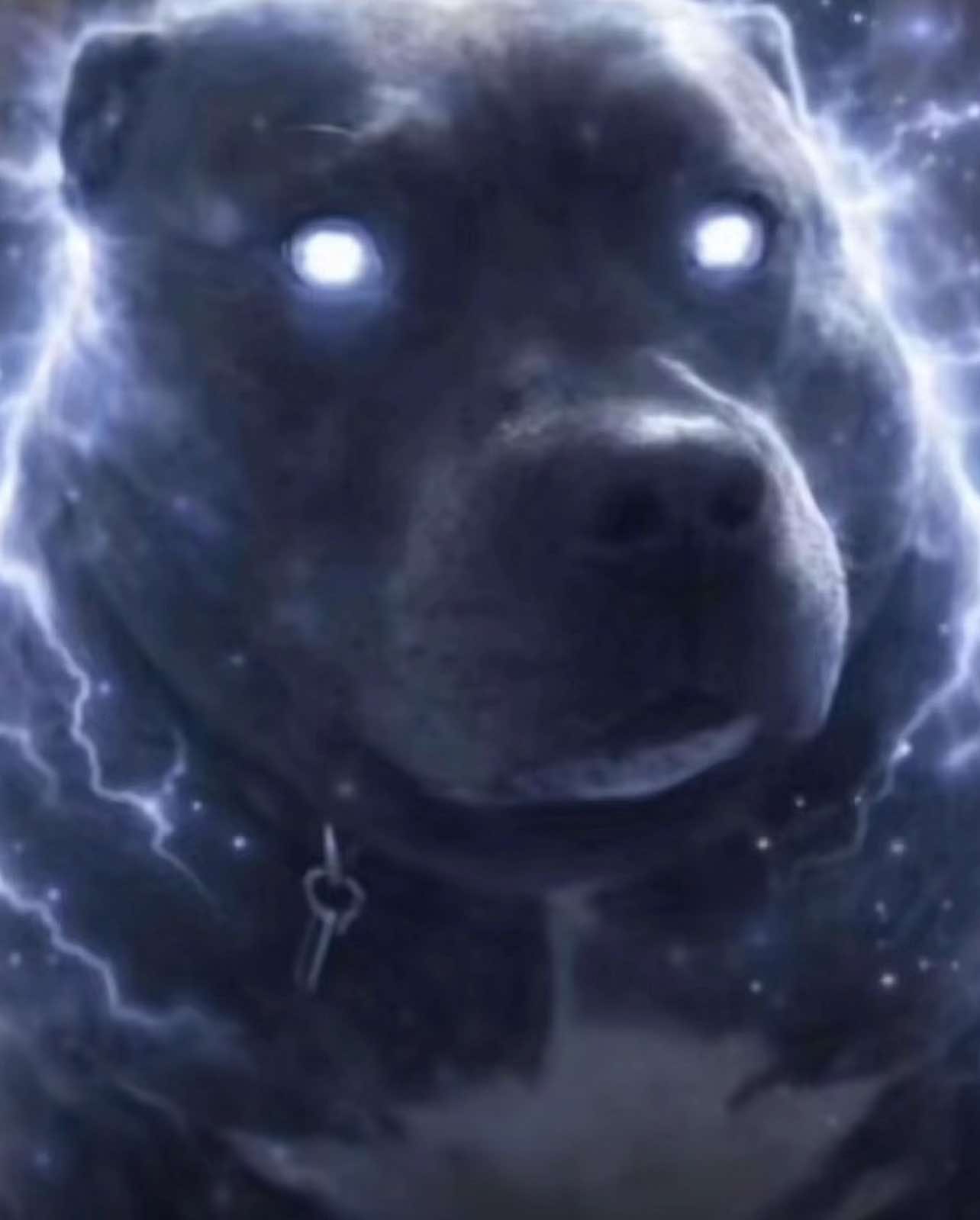 @𝐛𝐚𝐥𝐞𝐧𝐜𝐢.𝐜𝐚𝐦