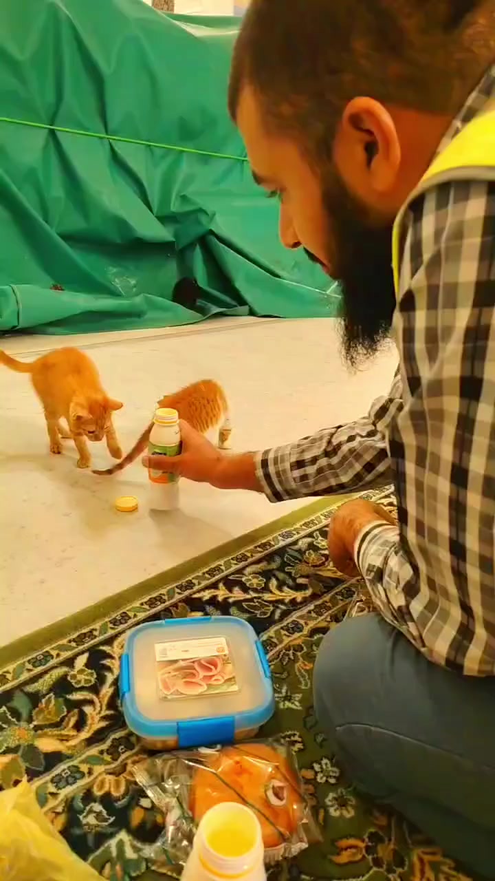 @𝐌𝐝 𝐀𝐃𝐍𝐀𝐍 𝐒𝐚𝐢𝐟