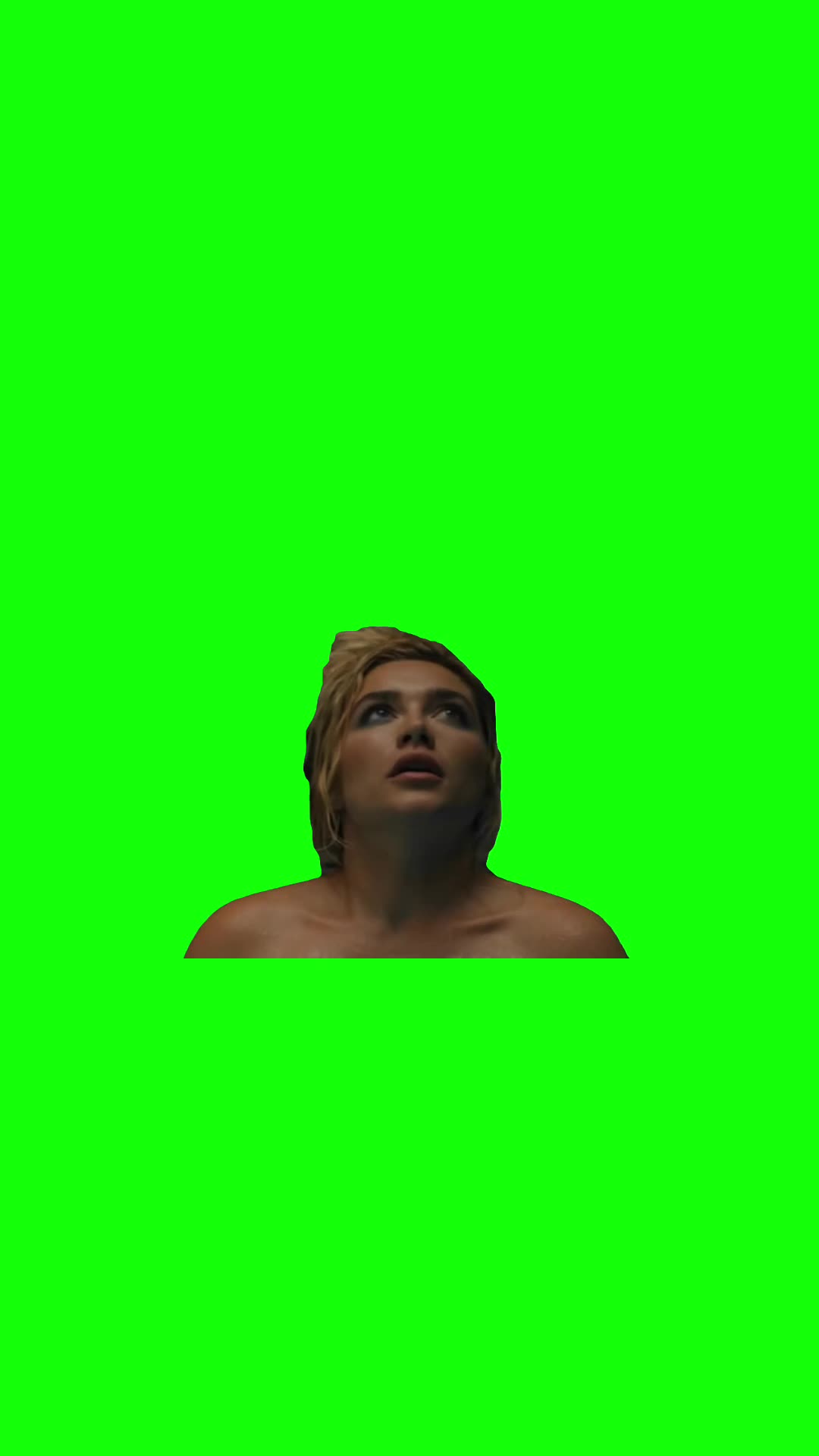 @Chief Green Screens