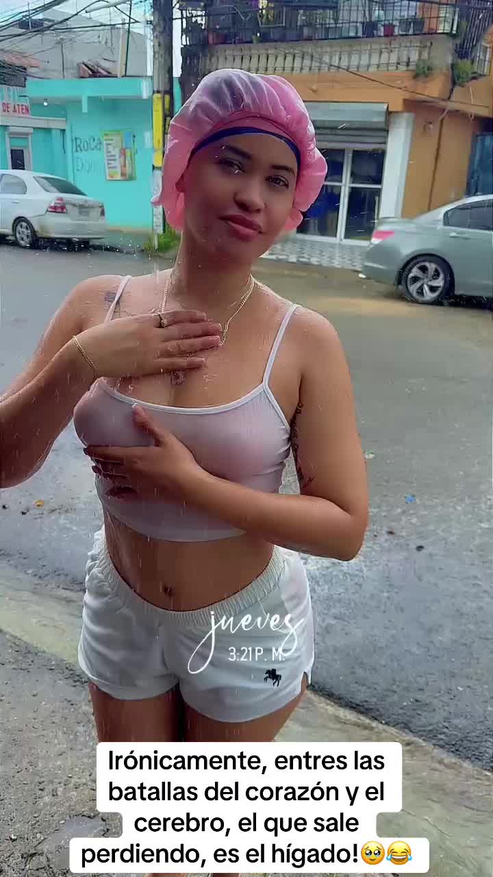 @berchevapanini