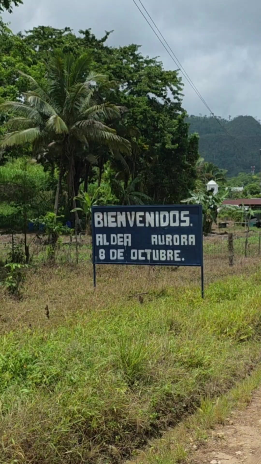 @Jos&eacute; Chic