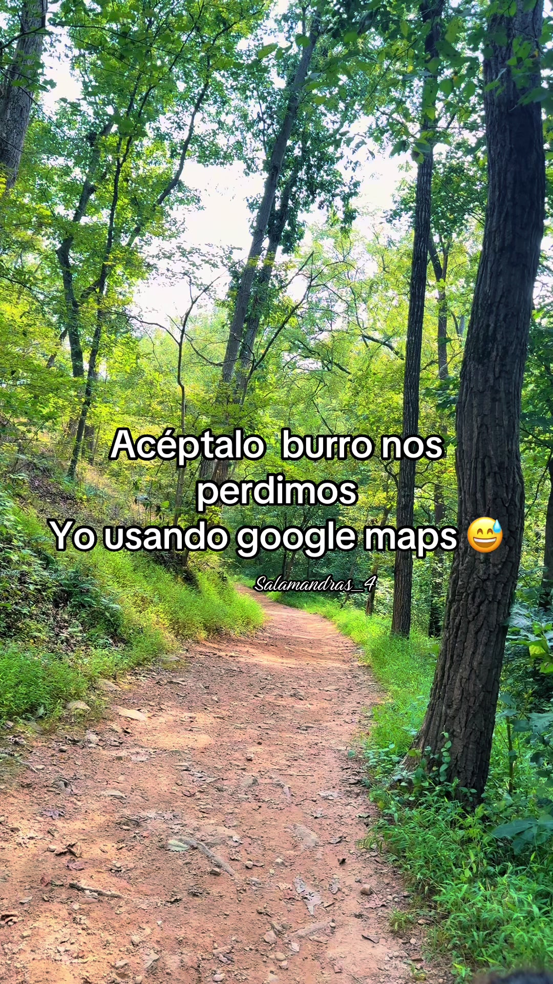 @La salamandra 🦎❤️🔥🤎