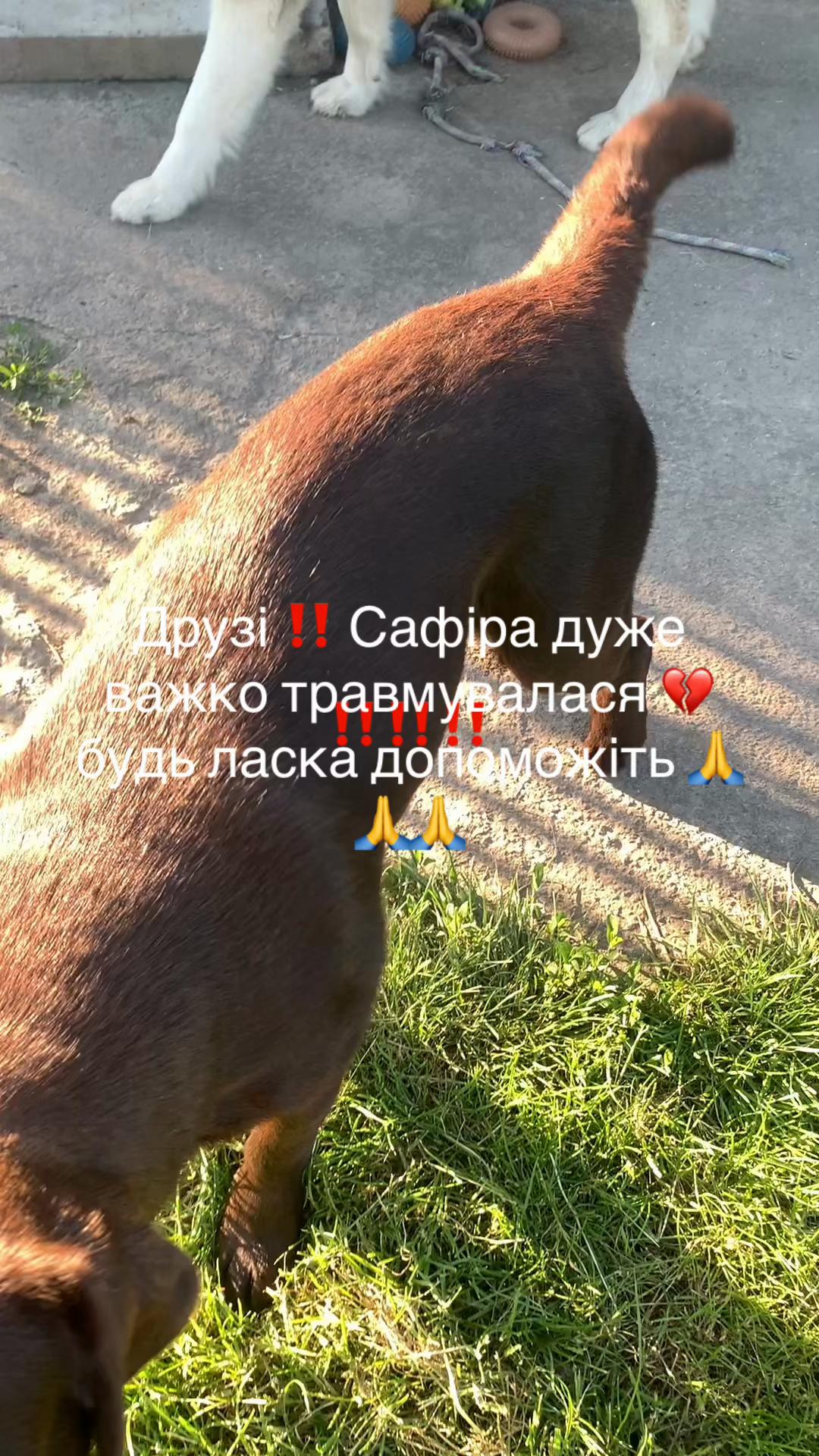 @Oksana