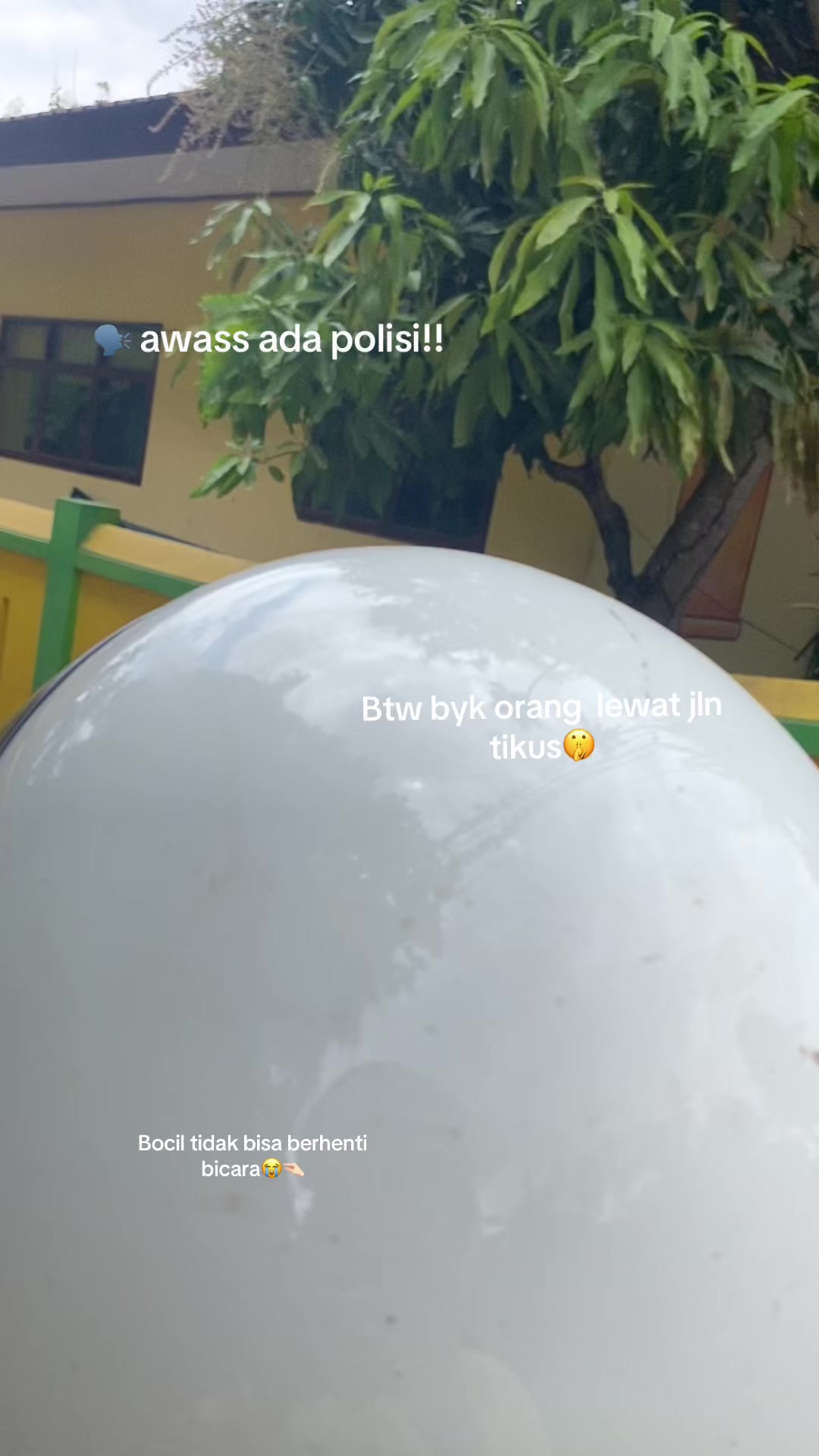 @🌸🌸🌸