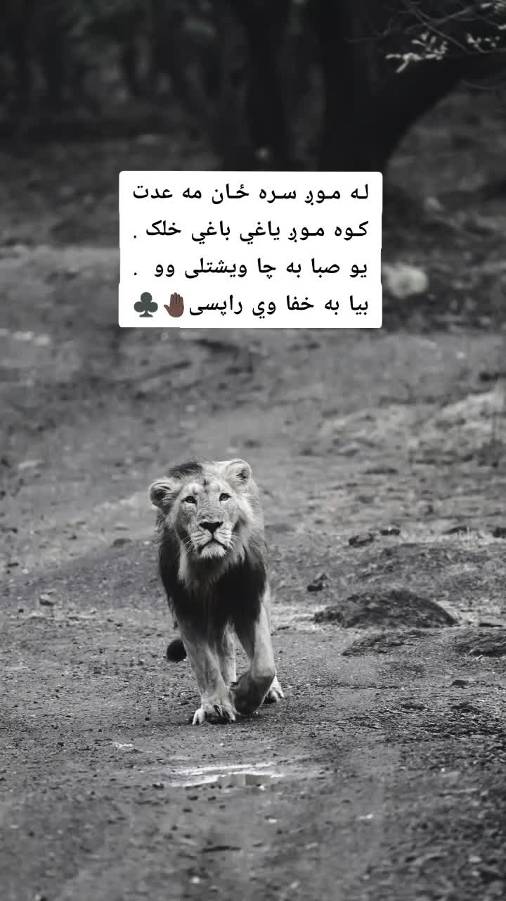 @ཀོ لـیــونـͫــͣــͥوو ཀོ