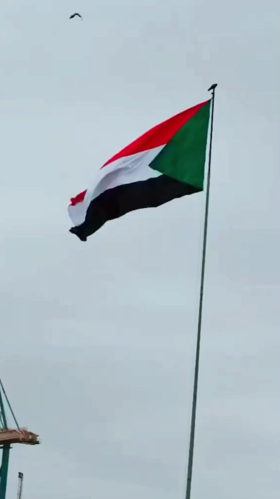 @ابو ابراهيم 🍁✌️
